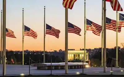 The DOGE Is … Everywhere?